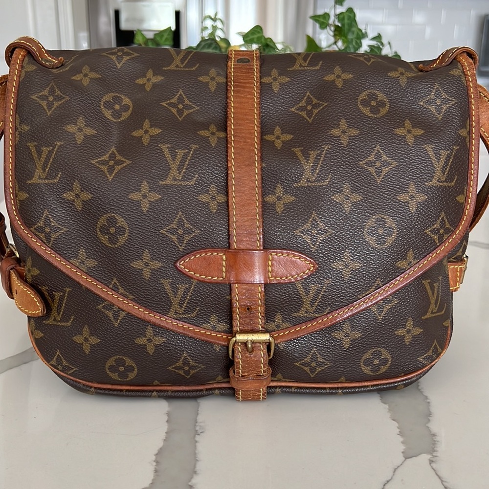 Louis Vuitton Handbag